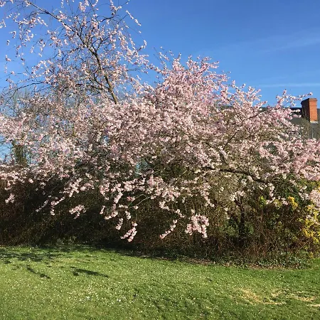Le Colombier De Royaumont Saint-Arnoult (Seine-Maritime)